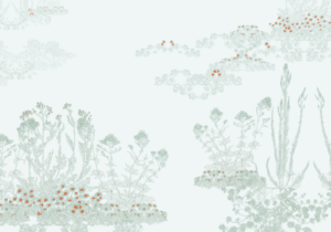 Final design of ‘Coast’ wallpaper by Hannah Maybank. The design is inspired by Shoreham beach.