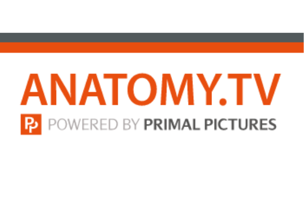 3D human anatomy with Anatomy.tv - Library
