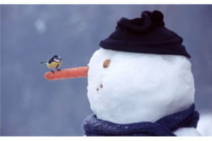 Snowman with robin on his carrot nose