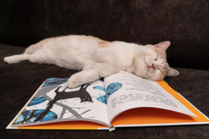 Cat asleep on open book.