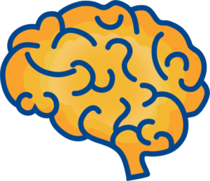 Icon illustrating brain development