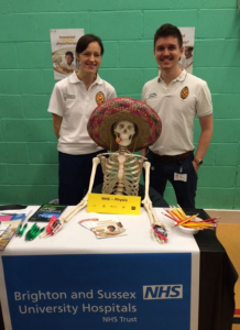 BSUH physios with their skeletal assistant at the BHASVIC careers event
