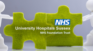 New UHSussex logo
